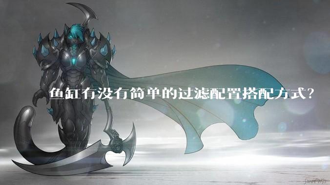 鱼缸有没有简单的过滤配置搭配方式？