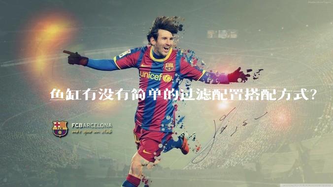 鱼缸有没有简单的过滤配置搭配方式？