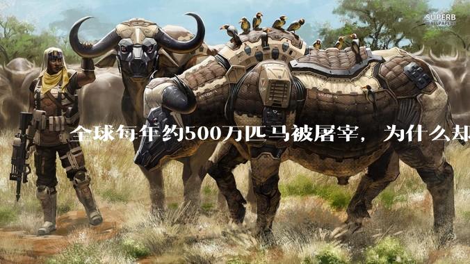 全球每年约500万匹马被屠宰，为什么却见不到中国人吃马肉？