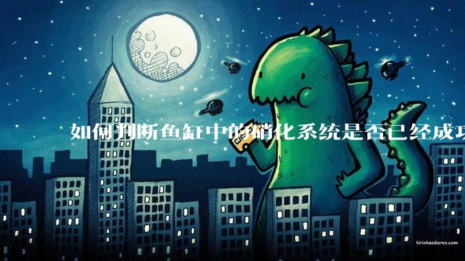 如何判断鱼缸中的硝化系统是否已经成功建立？